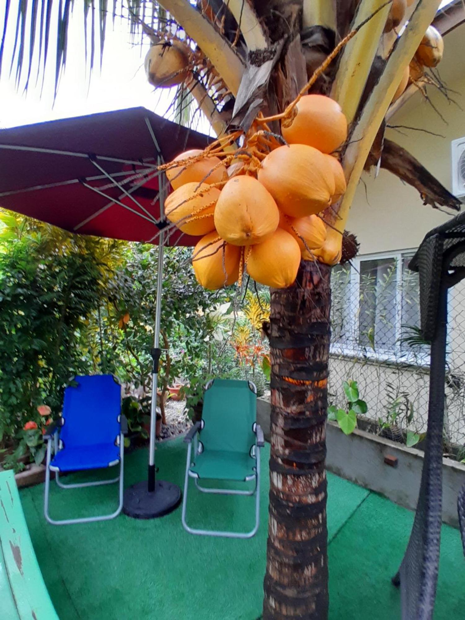 Milles Montagnes Residence Anse Royale Luaran gambar